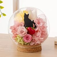 Amazon｜プリザーブドフラワー Ruplan（ルプラン）ガラスドーム 黒猫